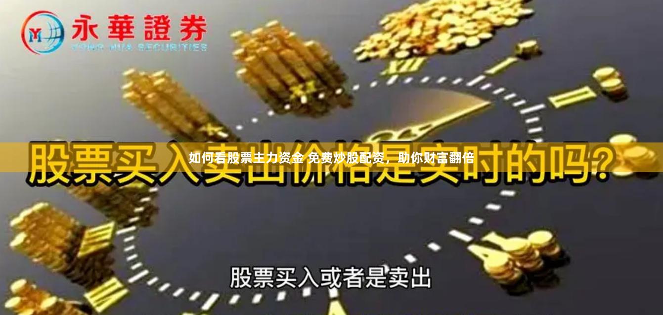 如何看股票主力资金 免费炒股配资，助你财富翻倍