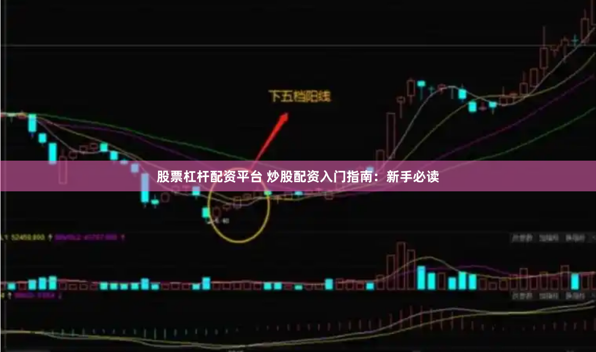 股票杠杆配资平台 炒股配资入门指南：新手必读