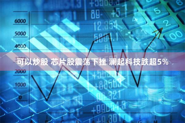 可以炒股 芯片股震荡下挫 澜起科技跌超5%