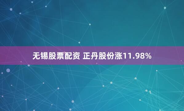 无锡股票配资 正丹股份涨11.98%