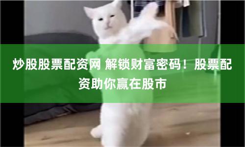 炒股股票配资网 解锁财富密码！股票配资助你赢在股市